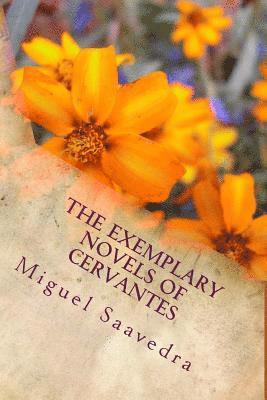 The Exemplary Novels of Cervantes 1