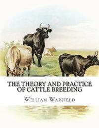 bokomslag The Theory and Practice of Cattle Breeding