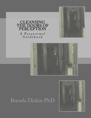 bokomslag Cleansing The Doors Of Perception: A Paranormal Guidebook