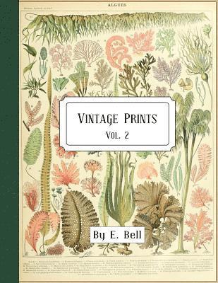 Vintage Prints: Vol. 2 1