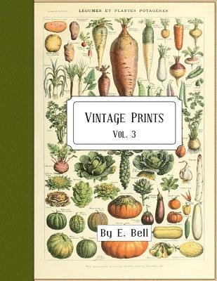 Vintage Prints: Vol. 3 1