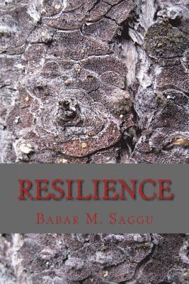 Resilience 1