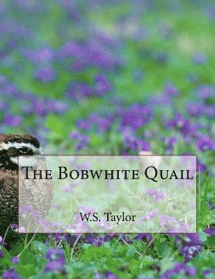 The Bobwhite Quail 1