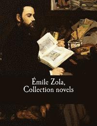 bokomslag Émile Zola, Collection novels