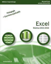 bokomslag Excel Maîtrise 2013 - 2016