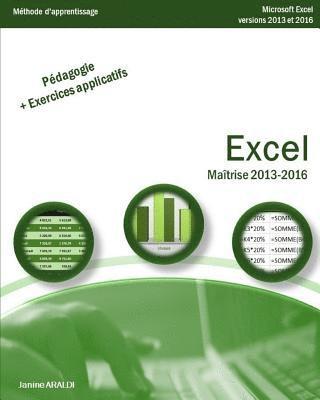 bokomslag Excel Maîtrise 2013 - 2016