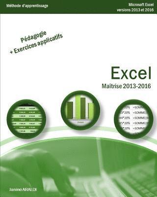 Excel Maîtrise 2013 - 2016 1