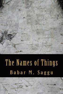 Babar M. Saggu - The Names of Things, Häftad