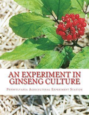 bokomslag An Experiment in Ginseng Culture: Bulletin Number 62