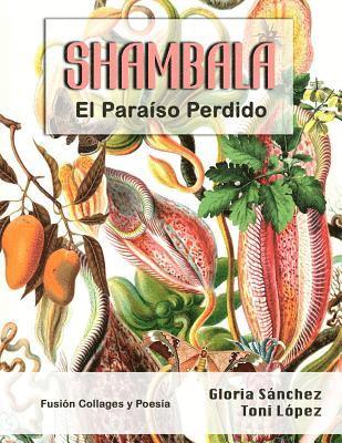 bokomslag Shambala: El paraíso perdido