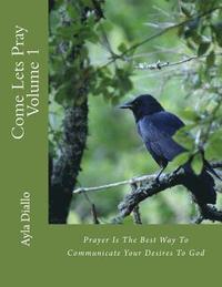 bokomslag Come Lets Pray Volume 1