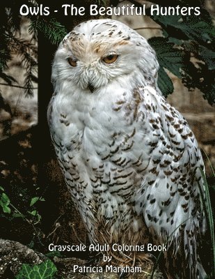 bokomslag Owls - The Beautiful Hunters: Grayscale Adult Coloring Book