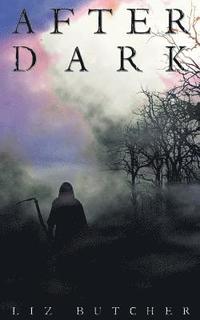 bokomslag After Dark