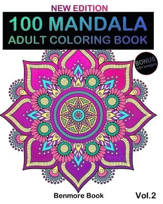 bokomslag 100 Mandala