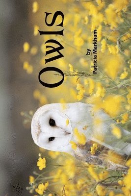 Owls: Grayscale Adult Coloring Book - Travel Size 1