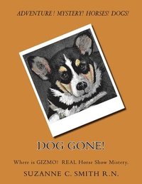 bokomslag Dog Gone!: Where is GIZMO? The Horse Show true mistery.