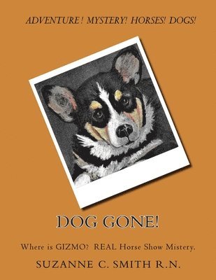 Dog Gone!: Where is GIZMO? The Horse Show true mistery. 1