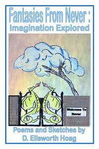 bokomslag Fantasies From Never: Imagination Explored
