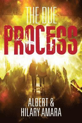bokomslag The Due Process