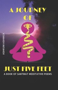 bokomslag A Journey of Just Five Feet: A Book of Santmat Meditative Poems
