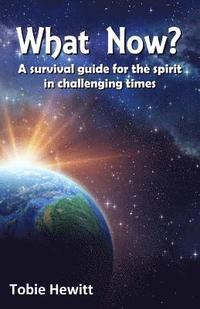 bokomslag What Now?: A survival guide for the spirit in challenging times