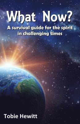 What Now?: A survival guide for the spirit in challenging times 1