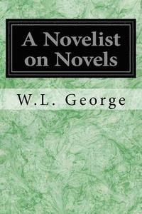 bokomslag A Novelist on Novels