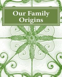 bokomslag Our Family Origins
