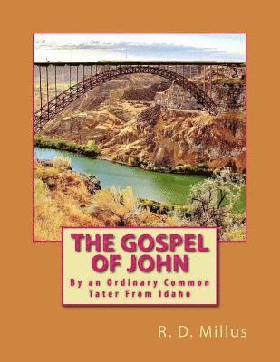 bokomslag The Gospel of John: By an Ordinary Common Tater From Idaho