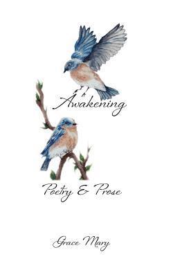Grace Mary - Awakening, Häftad
