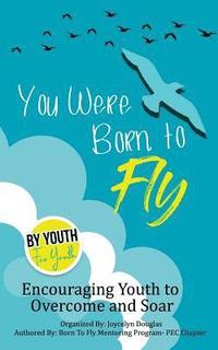 bokomslag You Were Born To Fly: Encouraging Youth to Overcome and Soar