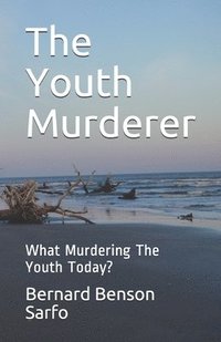 bokomslag The Youth Murderer: What Murdering The Youth Today?