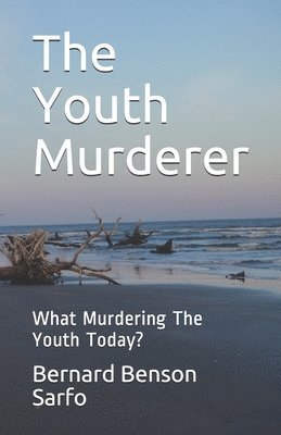 Bernard Benson Sarfo - The Youth Murderer: What Murdering The Youth Today?, Häftad