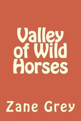 Zane Grey - Valley of Wild Horses, Häftad