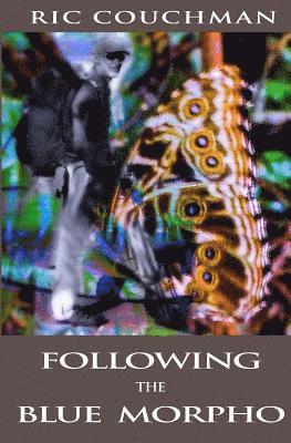 Following the Blue Morpho 1