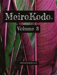 bokomslag MeiroKodo: Volume 3
