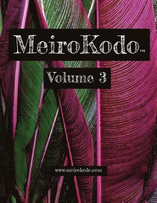 MeiroKodo: Volume 3 1