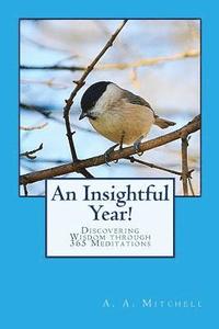 bokomslag An Insightful Year!: Discovering Wisdom through 365 Meditations