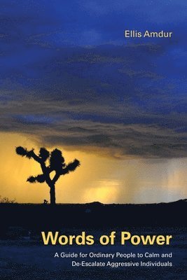 Ellis Amdur - Words of Power, Häftad
