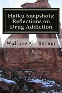 bokomslag Haiku Snapshots: Reflections on Drug Addiction