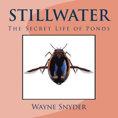 bokomslag Stillwater: The Secret Life of Ponds