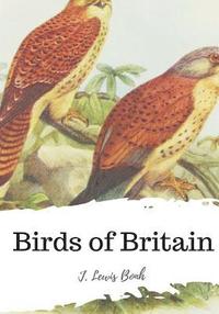 bokomslag Birds of Britain