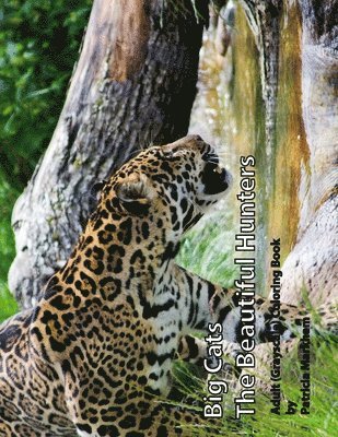 Big Cats: The Beautiful Hunters 1