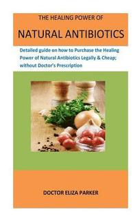 bokomslag Healing Power Of Natural Antibiotics