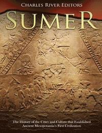 bokomslag Sumer: The History of the Cities and Culture that Established Ancient Mesopotamia's First Civilization