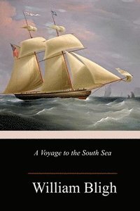 bokomslag A Voyage to the South Sea