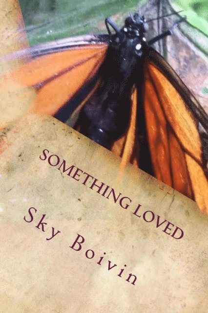 Something Loved: a collection of love poems to an old love