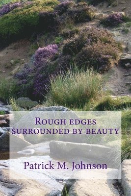 Patrick M. Johnson - Rough Edges Surrounded by Beauty, Häftad