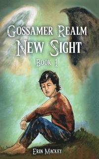 bokomslag Gossamer Realm: New Sight: Book 1