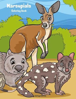 bokomslag Marsupials Coloring Book 1